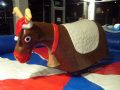 Rodeo Reindeer Hire