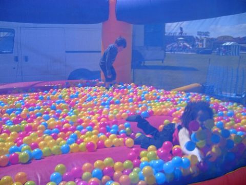 Ball Pond Hire