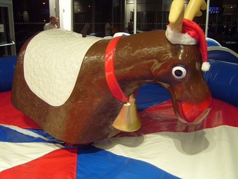 Rodeo Reindeer Hire