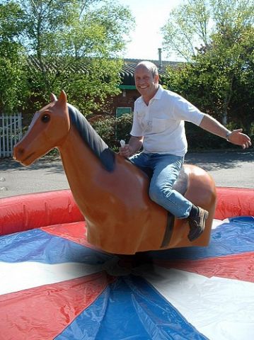 Rodeo Horse Hire