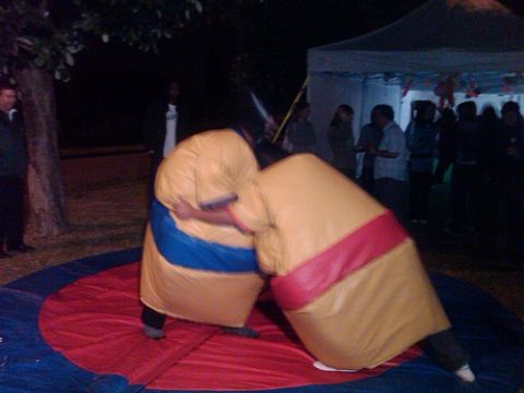 Sumo Suit Hire